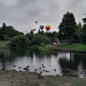 LAST CALL MOVING SALE SEND ME YOUR OFFERS I WILL ACCEPT!